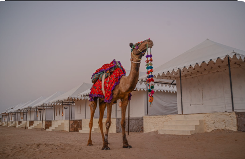 Jaisalmer Desert Safari Packages